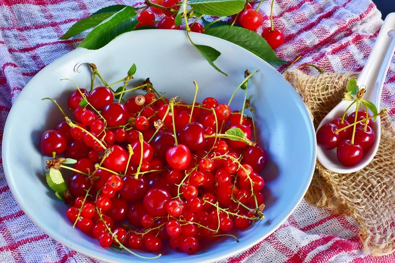 Tart Cherries