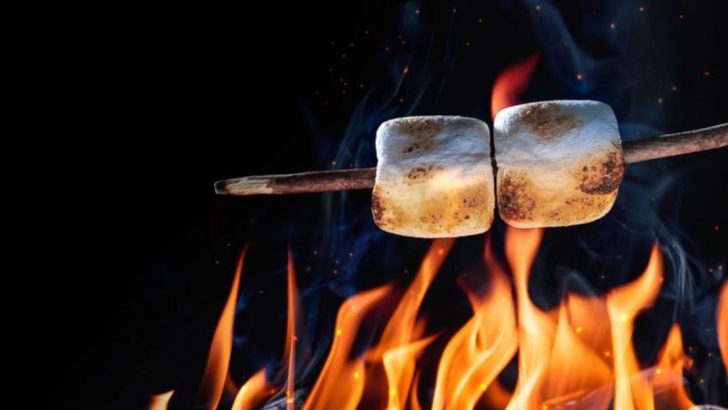 17 Things That Get Better With A Touch Of Char