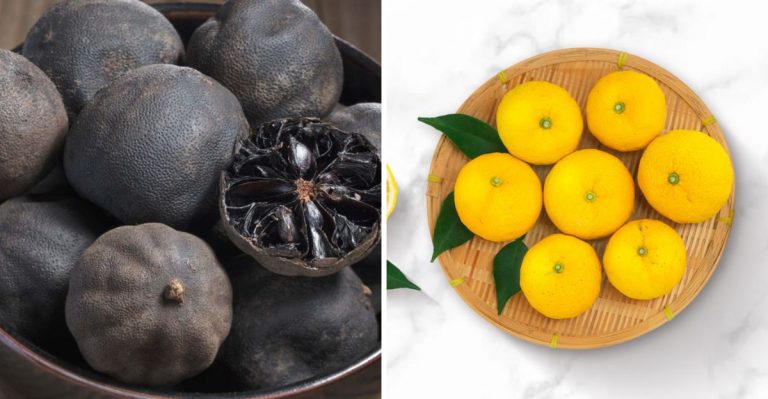 19 New Ingredients And Flavors Discovered This Year That Are Going To Change Your Cooking