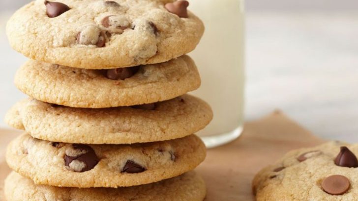 20 Car-Friendly Desserts That Travel Like A Dream