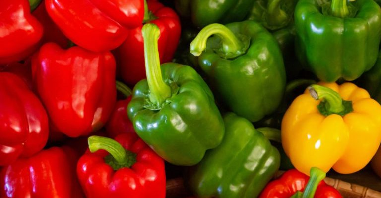 foods that are great for weight loss