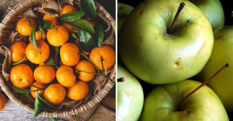 9 Foods Packed With Vitamin C, Plus A Few Surprising Foods That Don’t Actually Have It