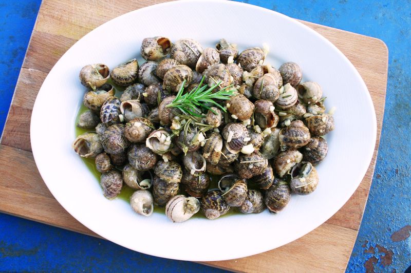 Sunbaked Sea Snails