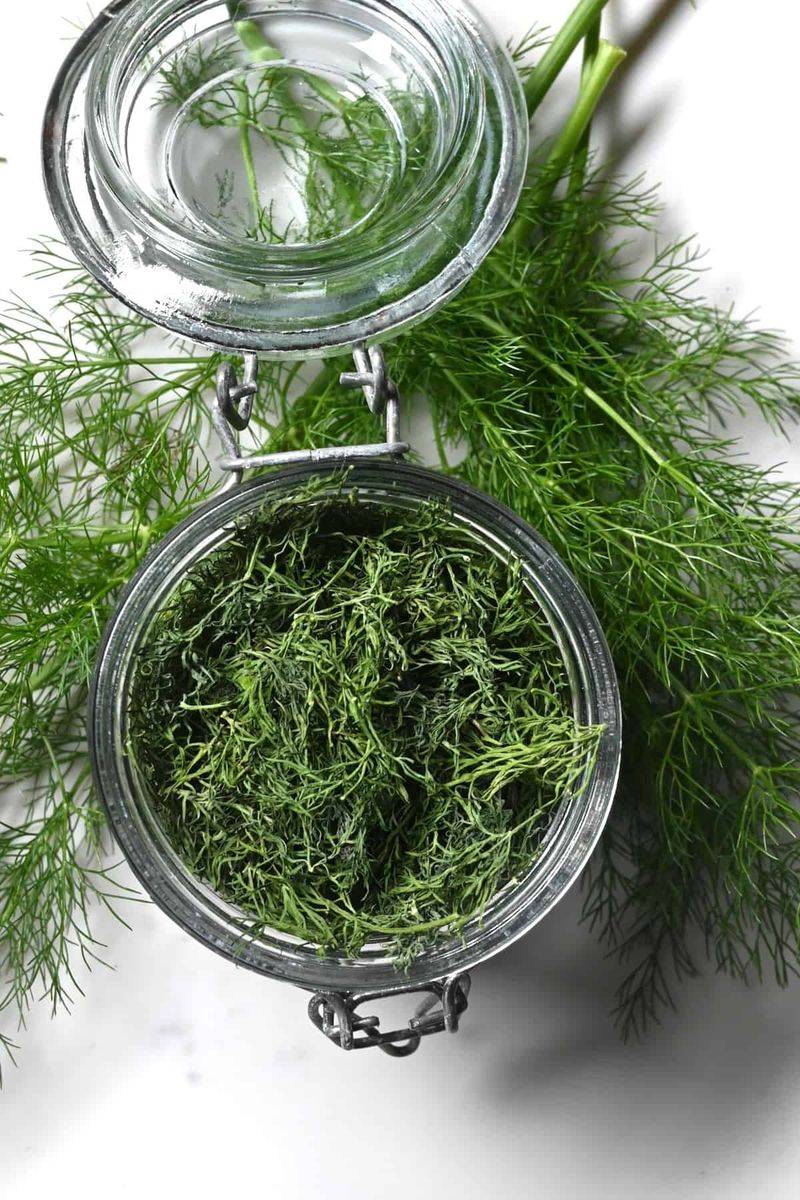 Dill Weed