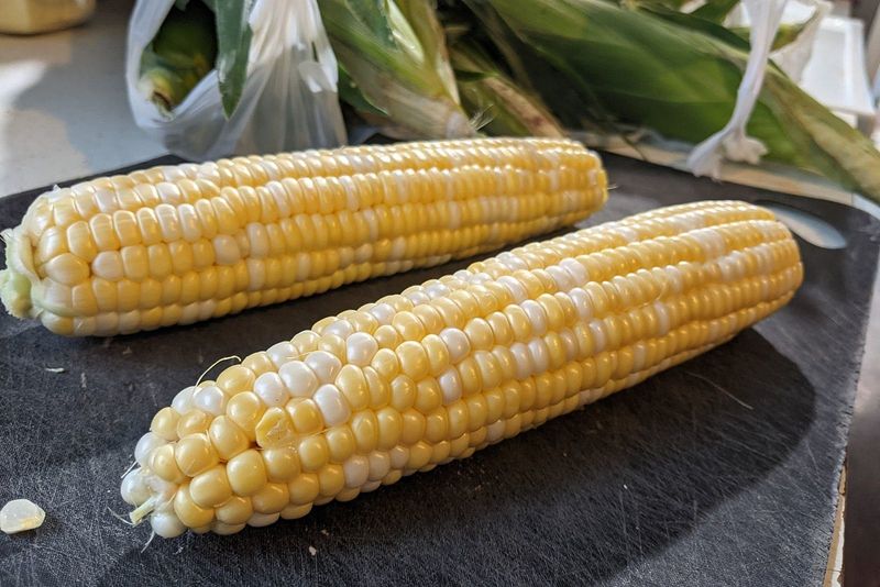 Corn On The Cob