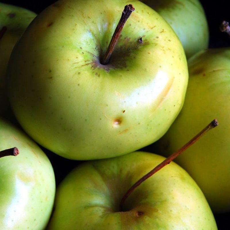 Apples: The Misleading Fruit