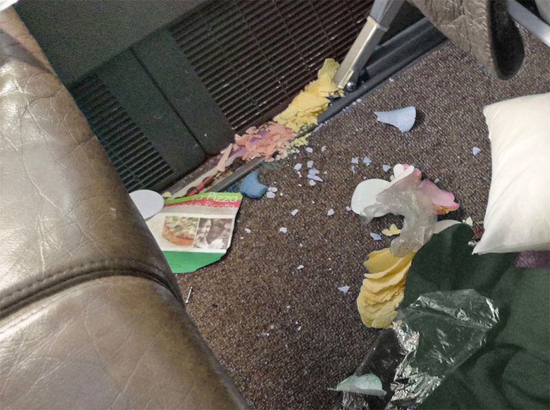Clean Up Your Trash Promptly