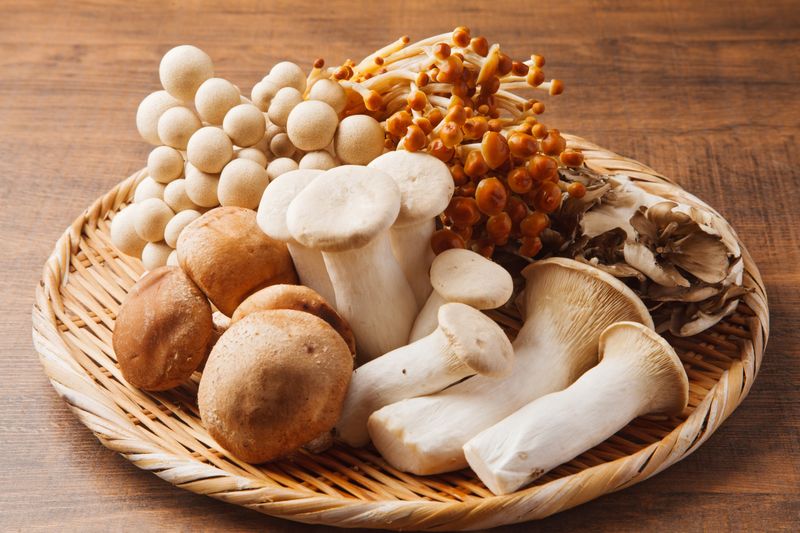 Mushrooms: Fungi With Benefits