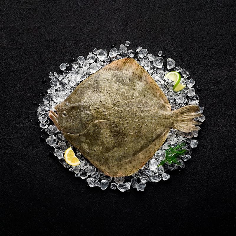 15 Expensive Fish That Are Worth The Price