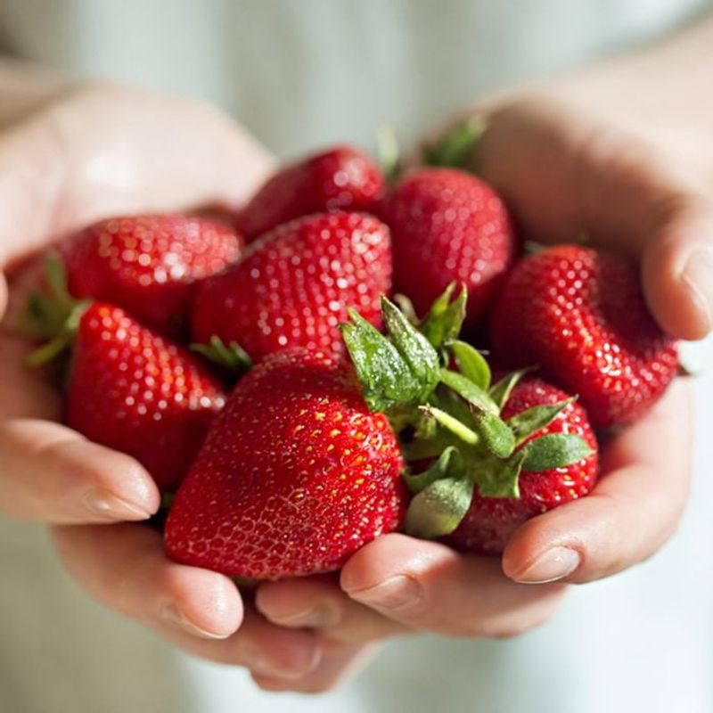 Strawberries: Nature's Candy With Benefits