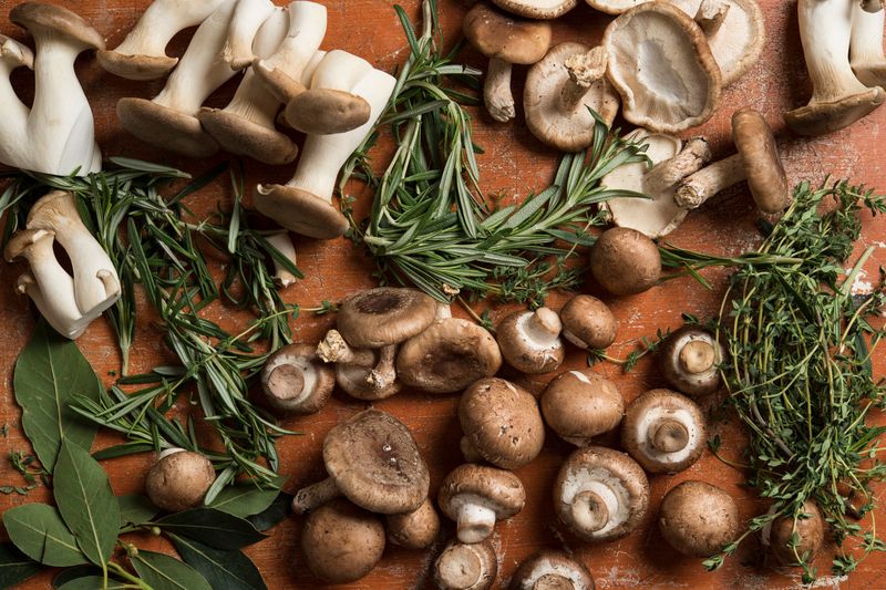 Mushrooms