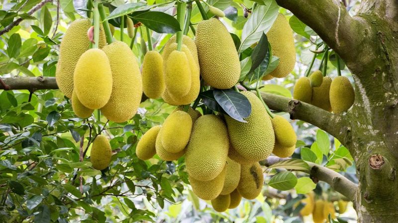 Diabetes-Friendly Summer Treat