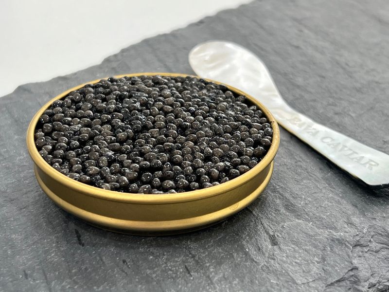 Caviar