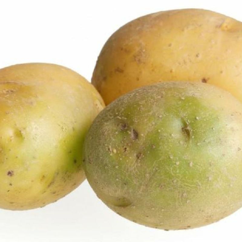 Are Green Potatoes Dangerous?