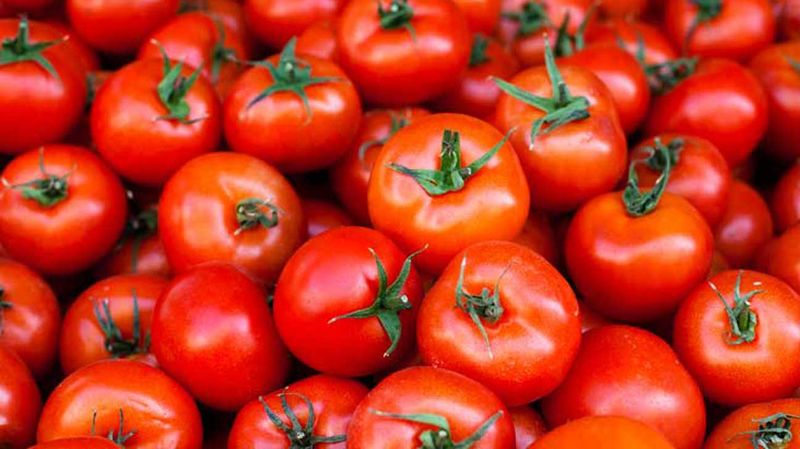 Tomatoes: Fruit Disguised As Vegetables