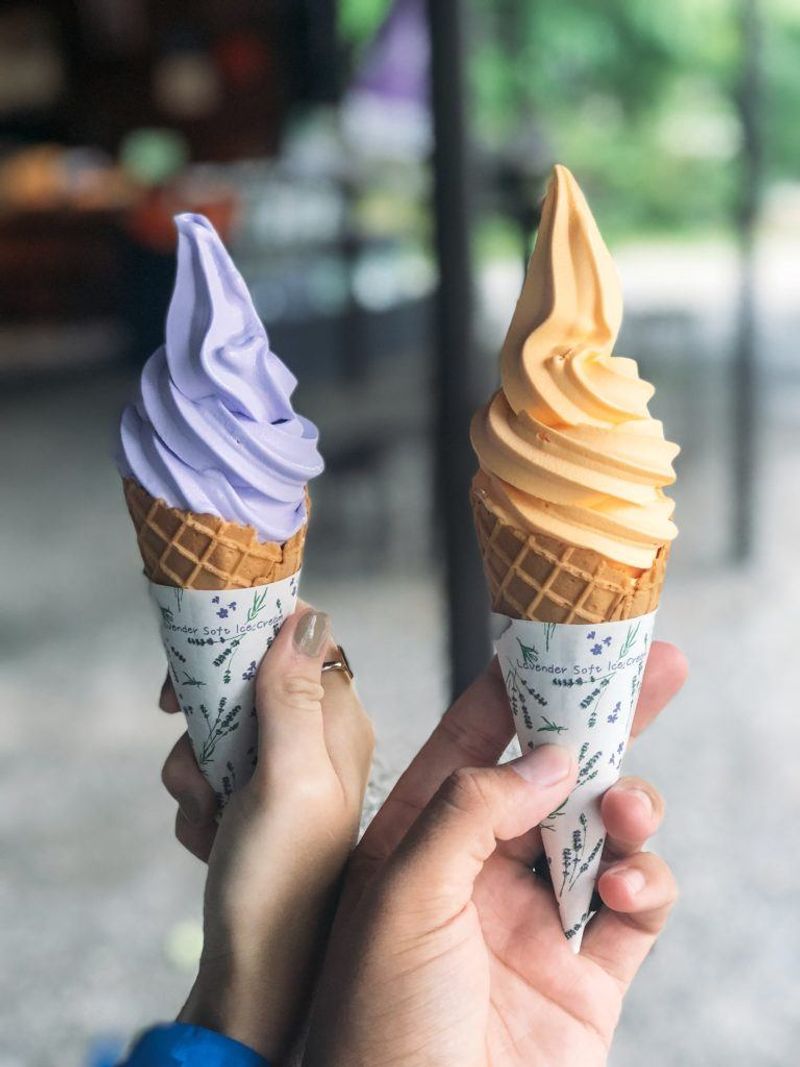 Ice Cream's Cool Variations