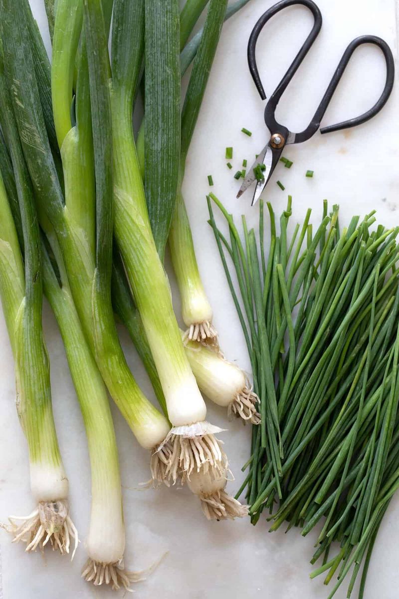 Chives Vs. Green Onion Tops