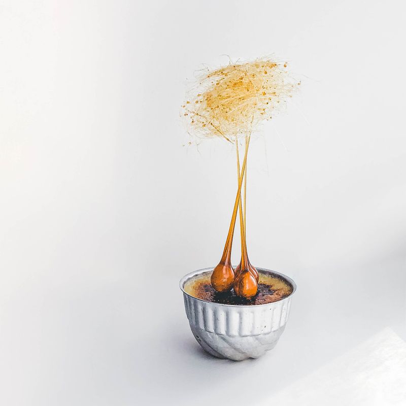 Crème Brûlée With Sugar Art