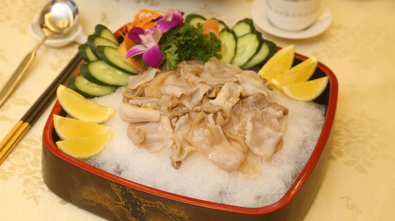 Geoduck