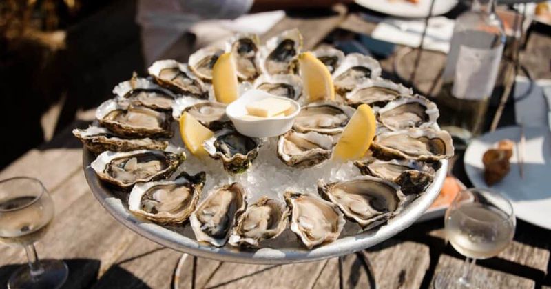 Oyster