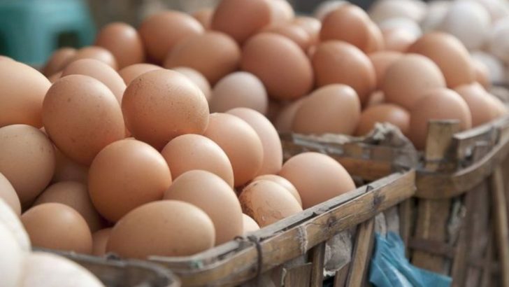 Crack The Mystery: Everything You’ve Ever Wondered About Eggs