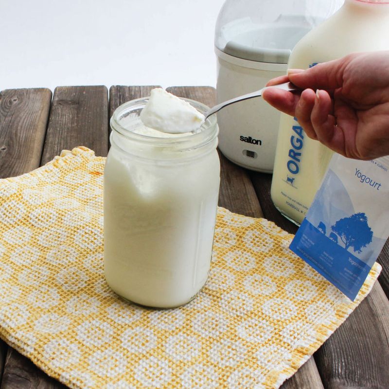 Yogurt