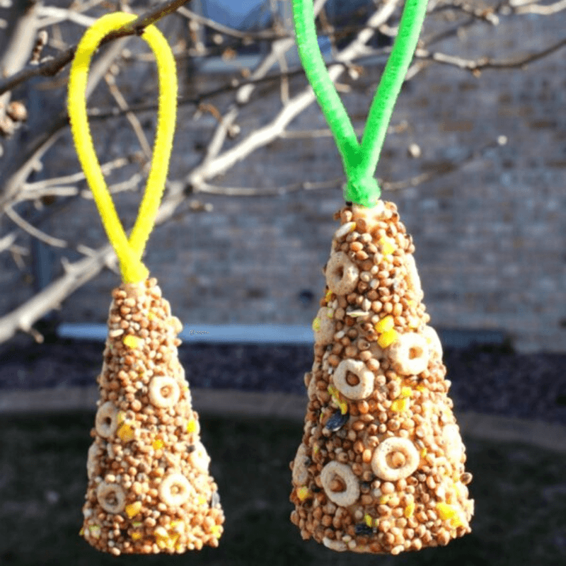 Bird Feeder Bonanza