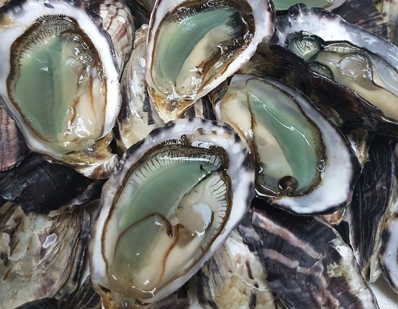 Oysters: Ocean's Zinc Treasure