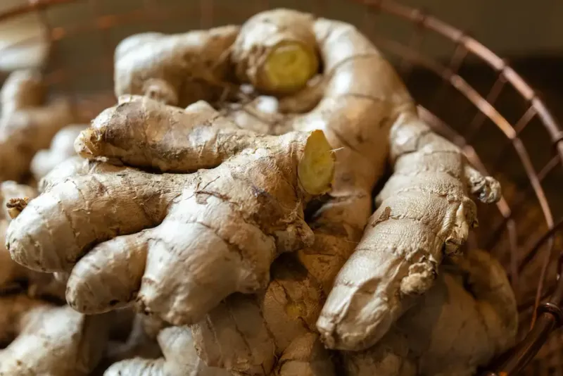 Ginger