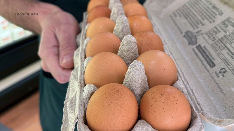 Eggs' Salmonella Surprise