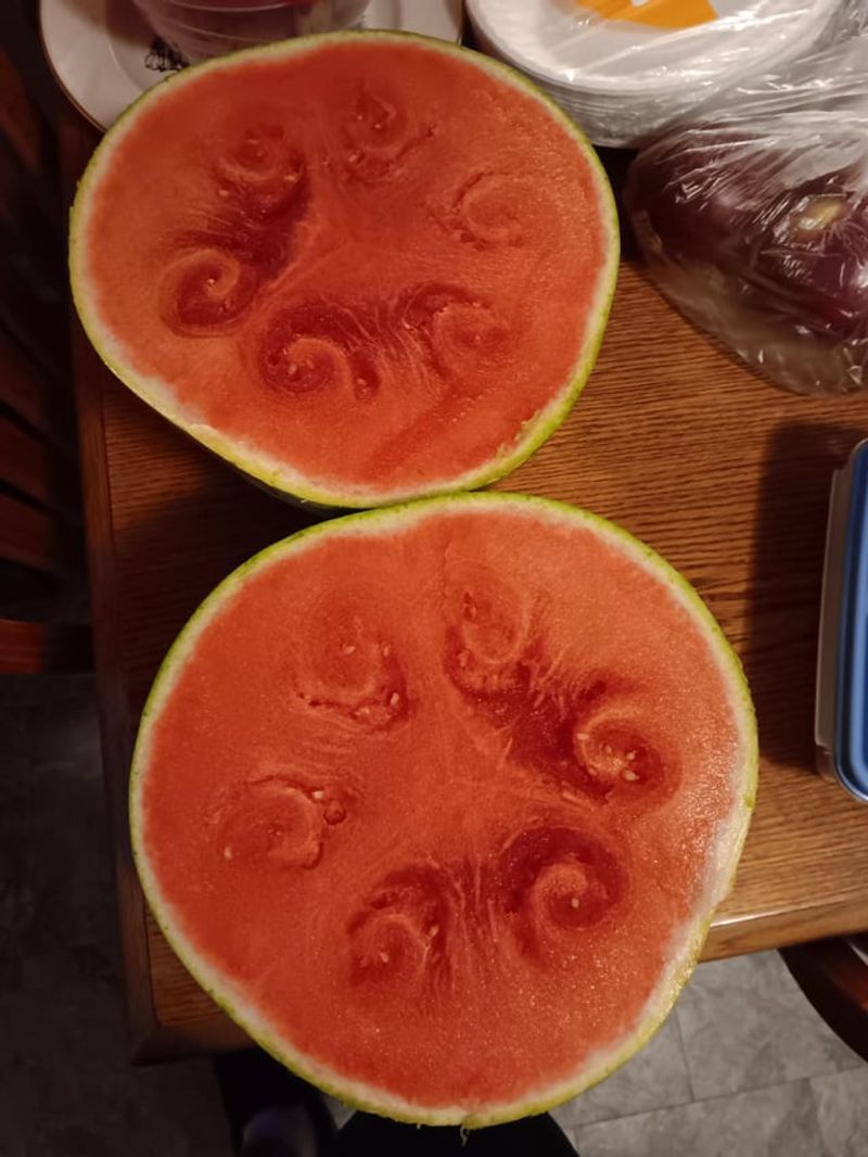 Rind Pattern Distortion