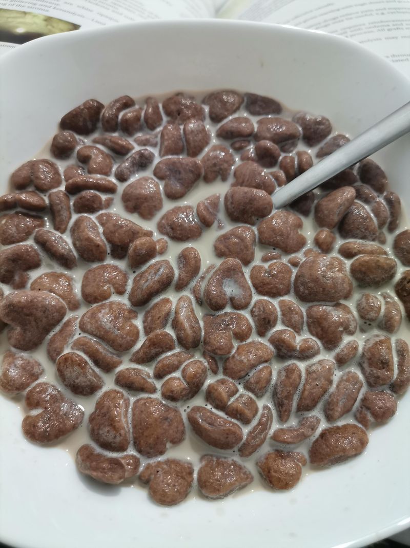 Soggy Cereal With Warm Milk