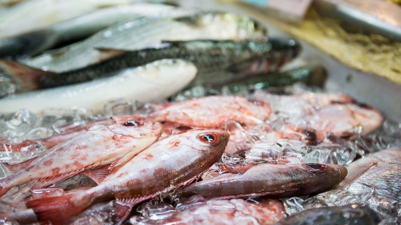 Seafood's Hidden Mercury