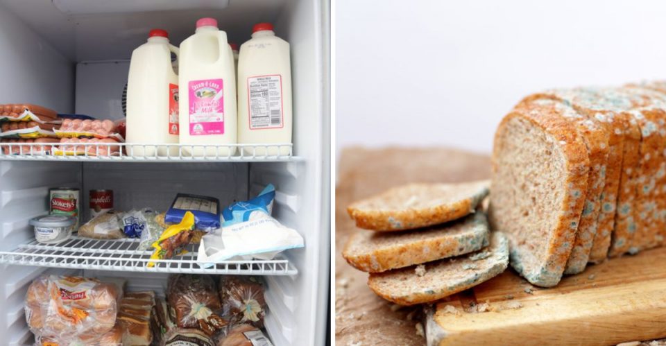 Here's How To Tell If Your Food's Gone Bad