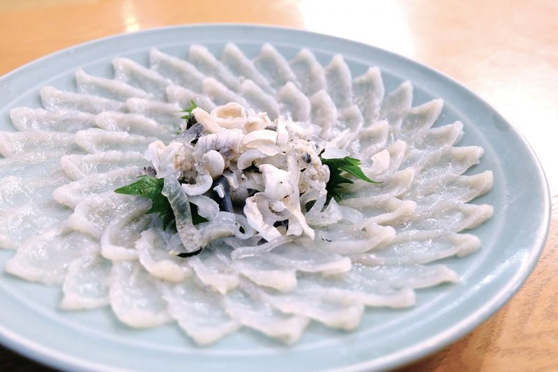 Fugu (Pufferfish)