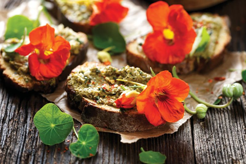 Edible Flowers: Botanical Flavors Beyond Garnishes