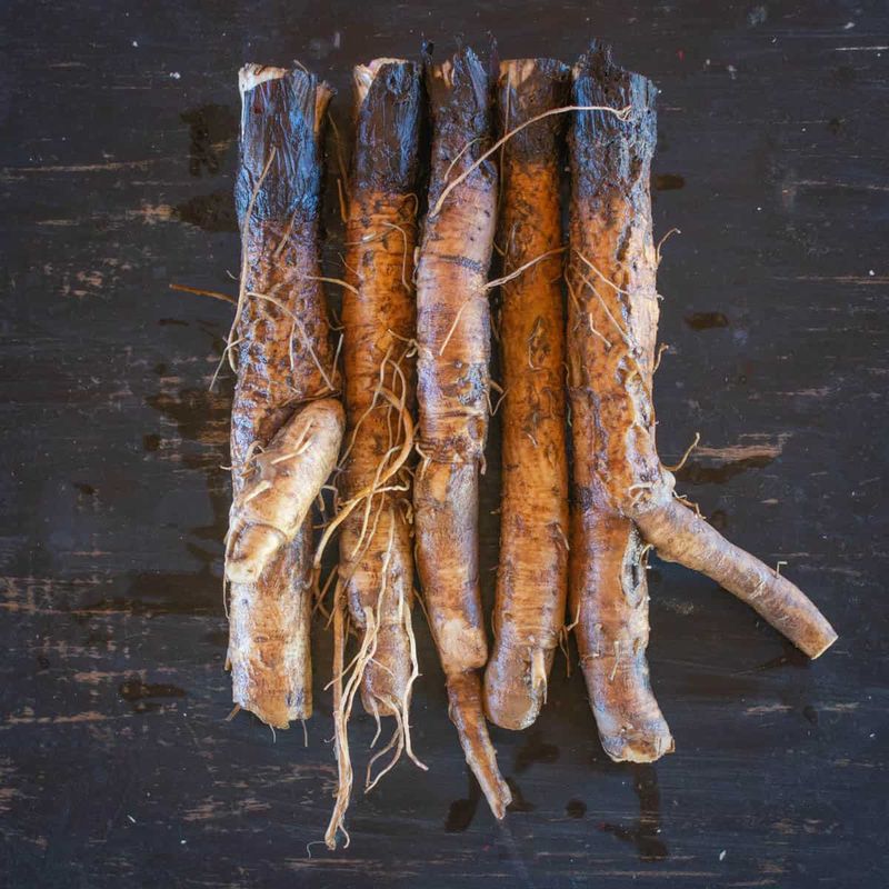 Burdock: The Japanese Favorite