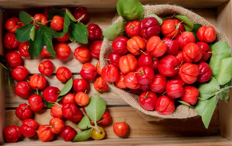 Acerola Cherries: Tiny Vitamin Bombs