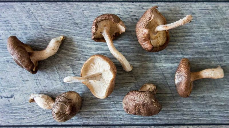 Mushrooms