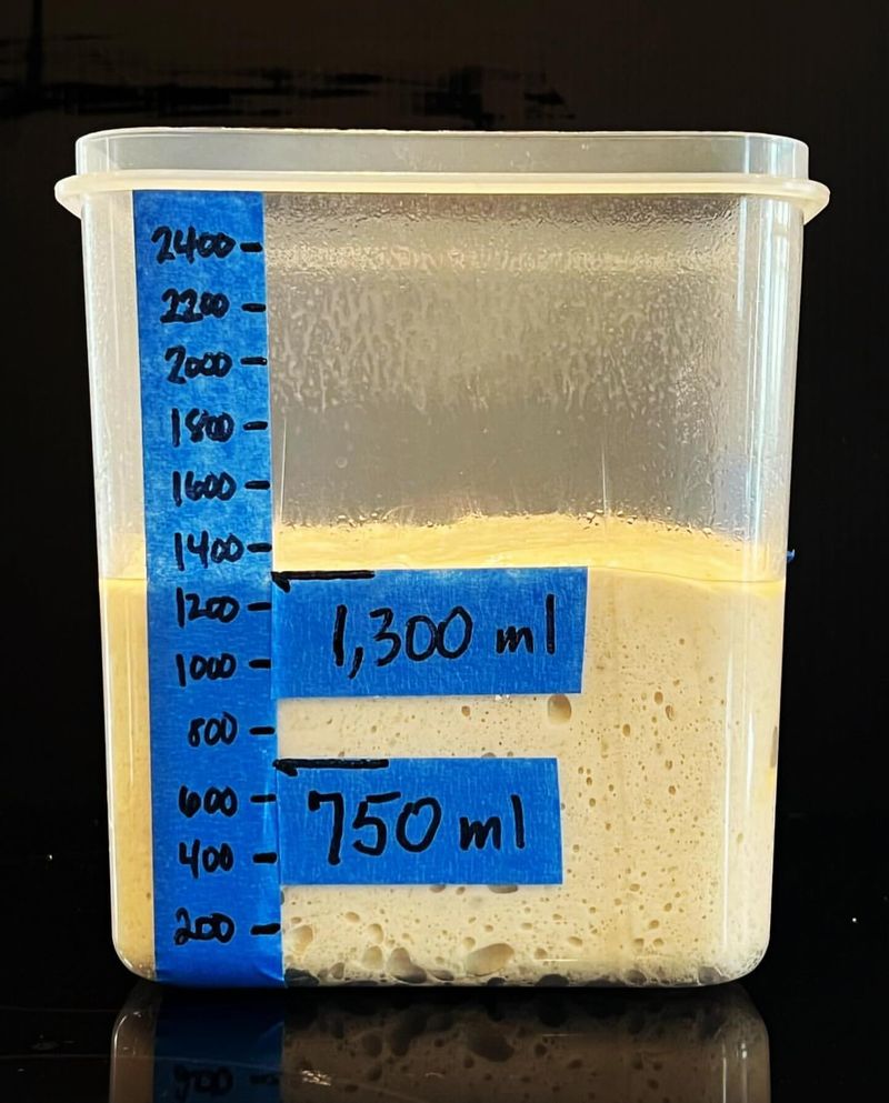 Dough Has Risen About 50 to 75 Percent
