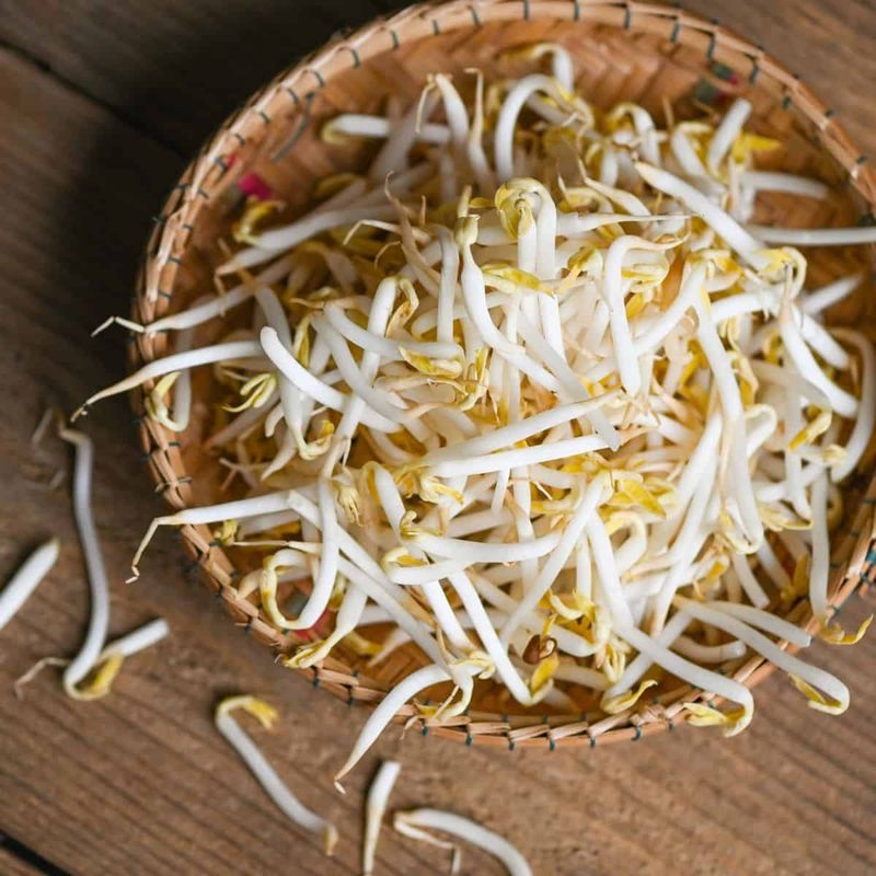 Bean Sprouts