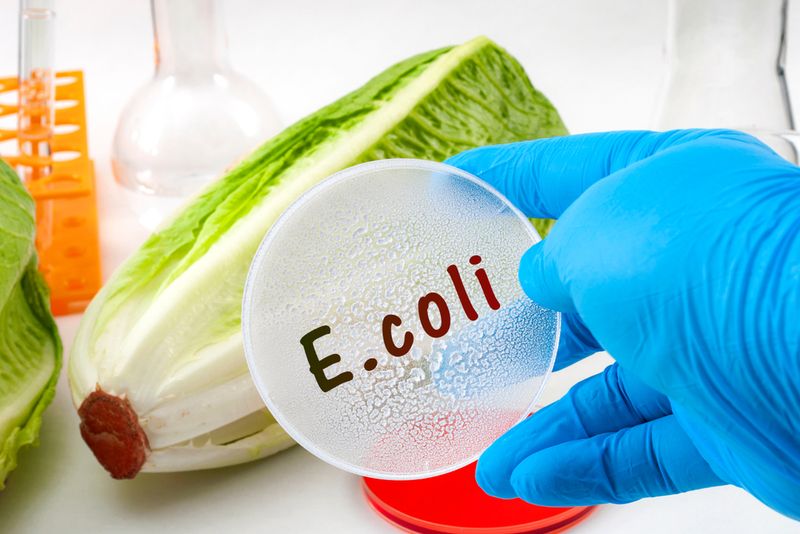 E. Coli Contamination