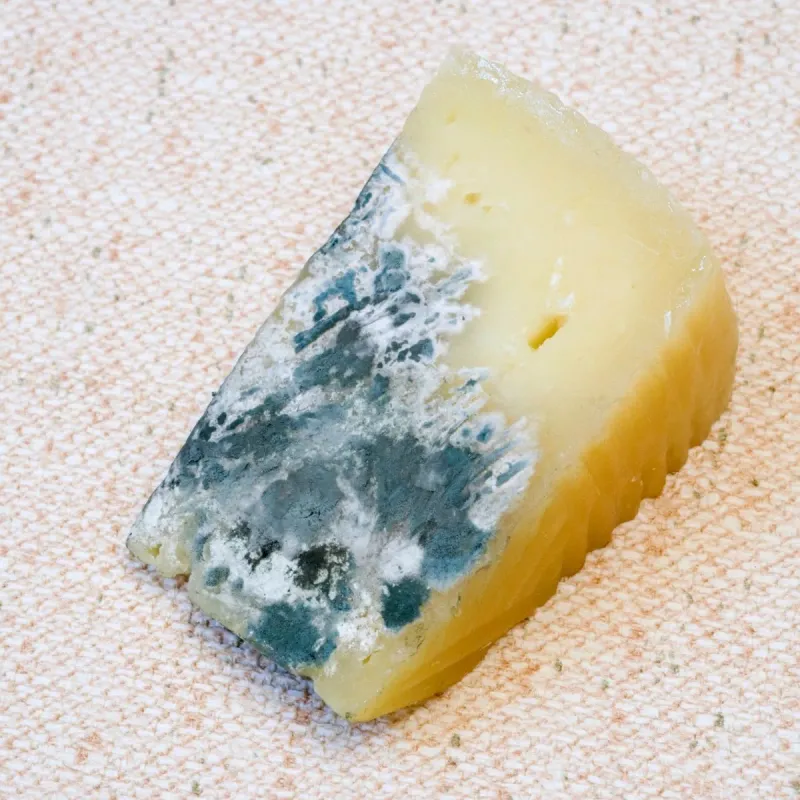 Can You Eat Moldy Cheese If You Cut Off The Mold?