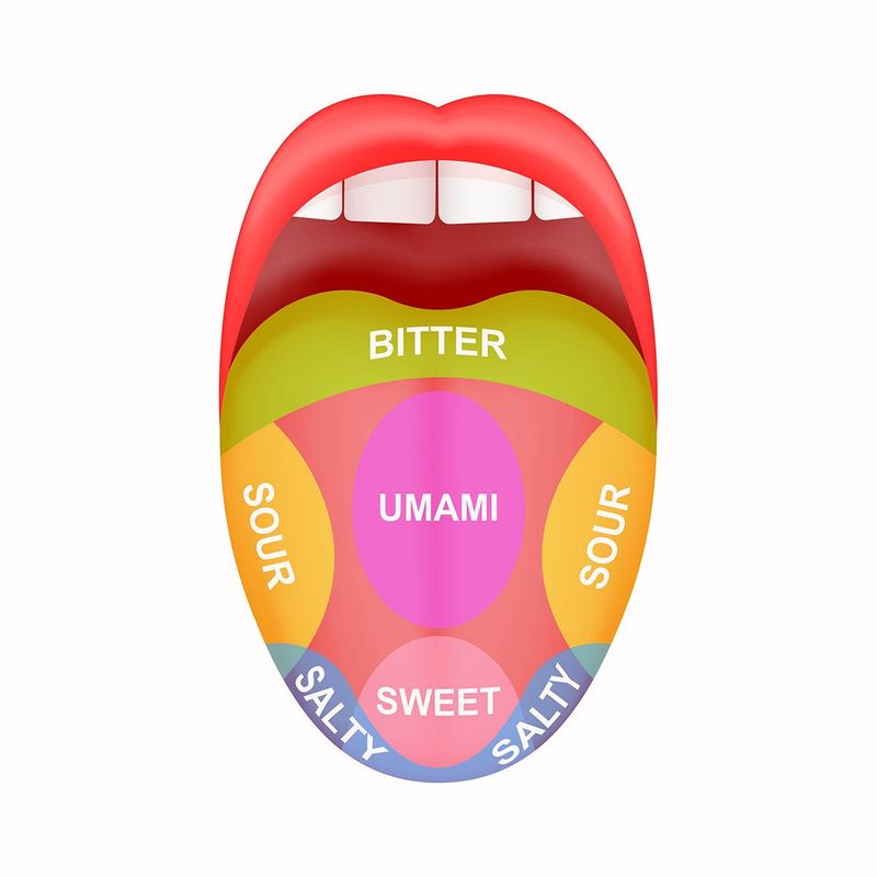 Do Different Parts Of Your Tongue Taste Different Flavors?