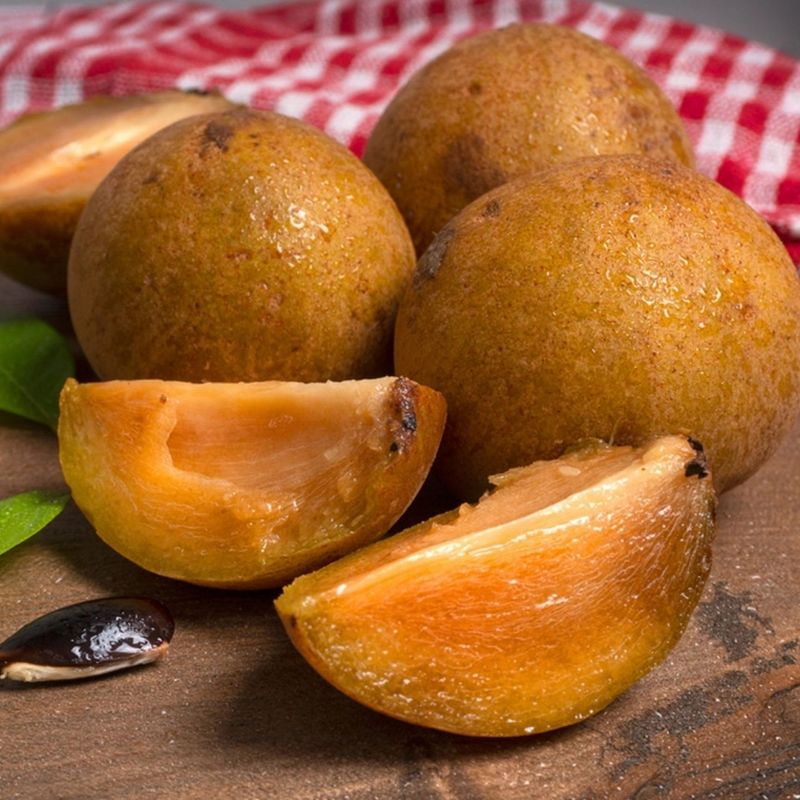 Sapodilla