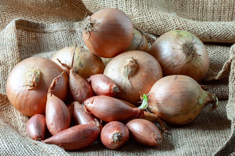 Shallots Vs. Small Onions