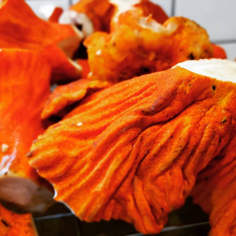 Lobster Mushroom