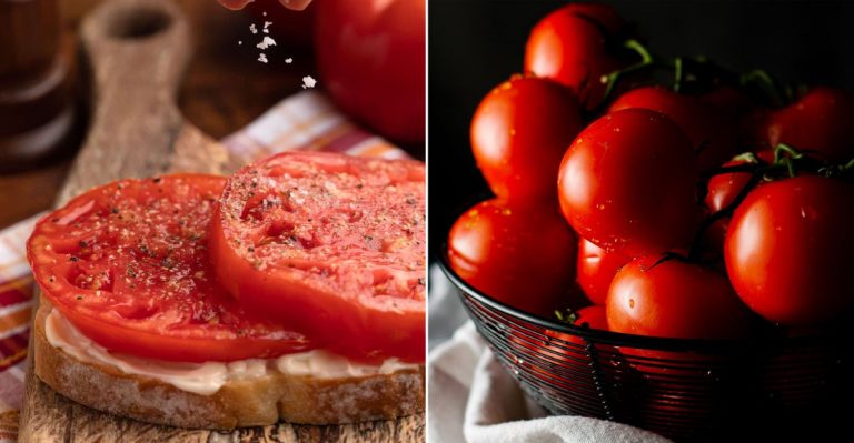 tips for making the best tomato sandwich