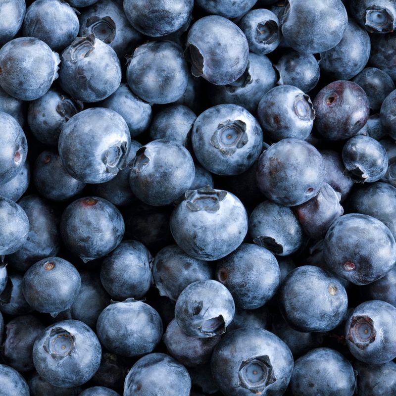 Contaminated Organic Blueberries