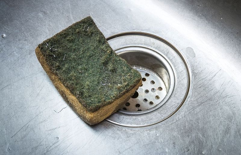 Using The Same Sponge For Weeks